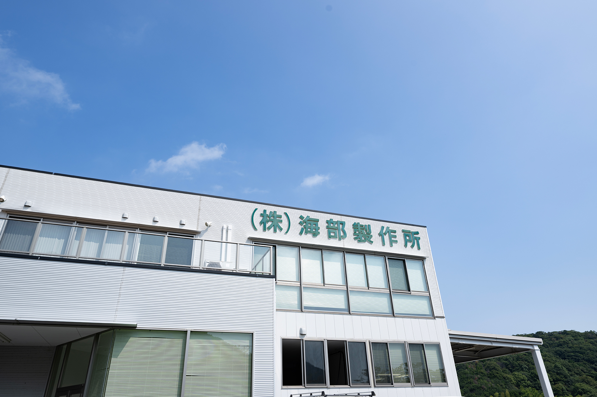 COMPANY PROFILE
